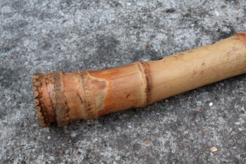 shakuhachi 1.6  <span style="color: #2ec516;">*JUST ARRIVED*</b></span> - Image 8